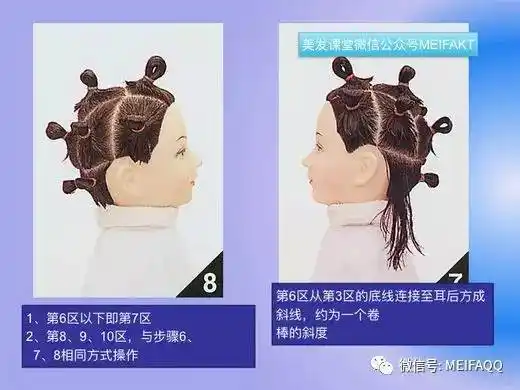 标准式烫发分区【标准烫分区图】