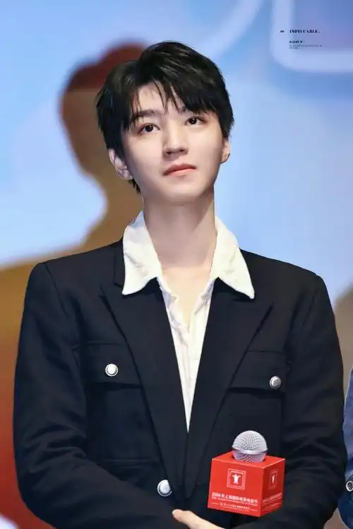 王俊凯庆典彩排图