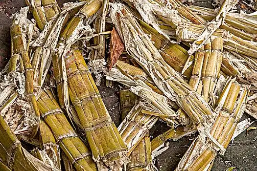 有用植物图片_有用植物图片大全_有用植物图片素材