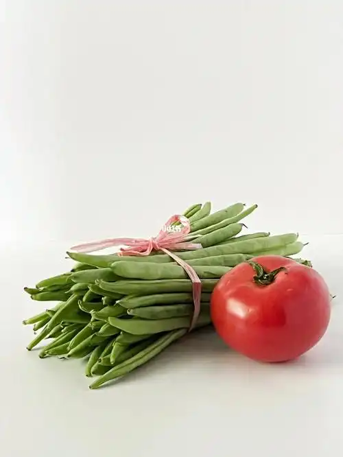 绘画素材四季豆与西红柿