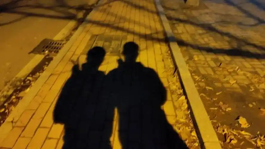 影子也跟着摆昏黄的灯光与积水辉映要添衣保暖提醒我们气温骤降都是大