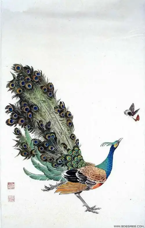 国画 工笔孔雀,风华绝代!