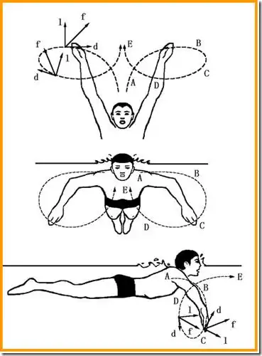 蛙泳动作的要领 游泳呼吸要领 - fuzzy0925的日志 - 网易博客