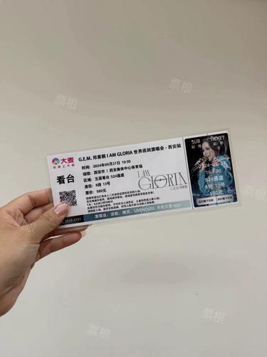 邓紫棋2024世界巡回演唱会门票纪念票根收藏定制周边封面可选大麦