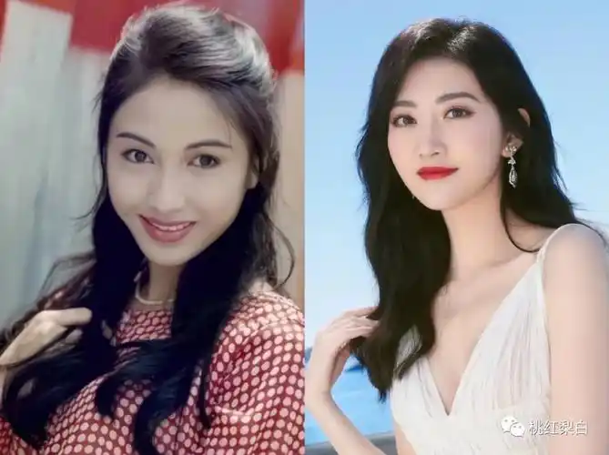 李嘉欣黎姿的港圈"美人饭局",是贵妇友谊还是塑料姐妹花?