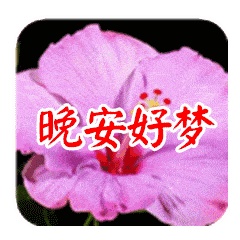 晚上好的微信祝福大全,晚安问候语动态表情句子