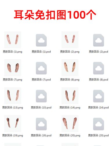 证件照人像五官高清耳朵免扣素材男女一共100个png和psd格式