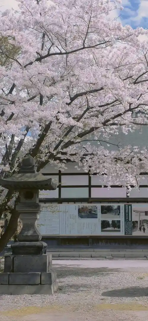 专题 | 粉色系少女心壁纸