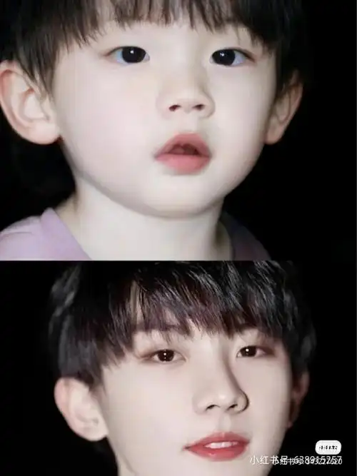 陈玺达 宋文嘉 辜圣棵 姚景元 徐皓扬 蒋林逸 陈俊西 陈思霖 李小亮