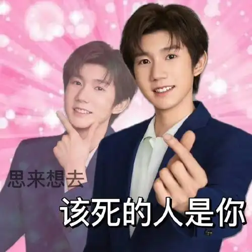 王源23岁且放青山远