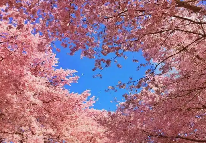 喜欢被温柔相待更喜欢被特殊对待超舒适壁纸超治愈壁纸治愈系壁纸