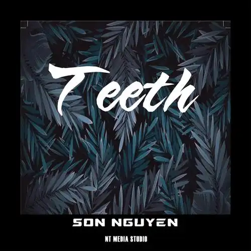 teeth_s01n nguy61n_高音质在线试听_teeth歌词|歌曲下载_酷狗