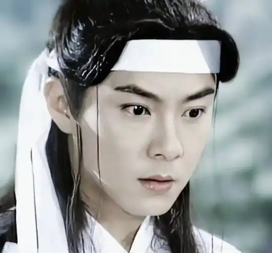 11.张卫健10.陈冠霖9.郑国霖8.任泉7.沈晓海6.陈浩民5.古天乐4.