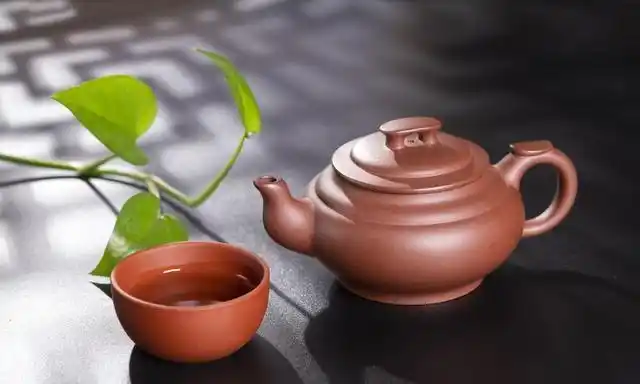 茶的品种,茶的品种和图片大全?图5