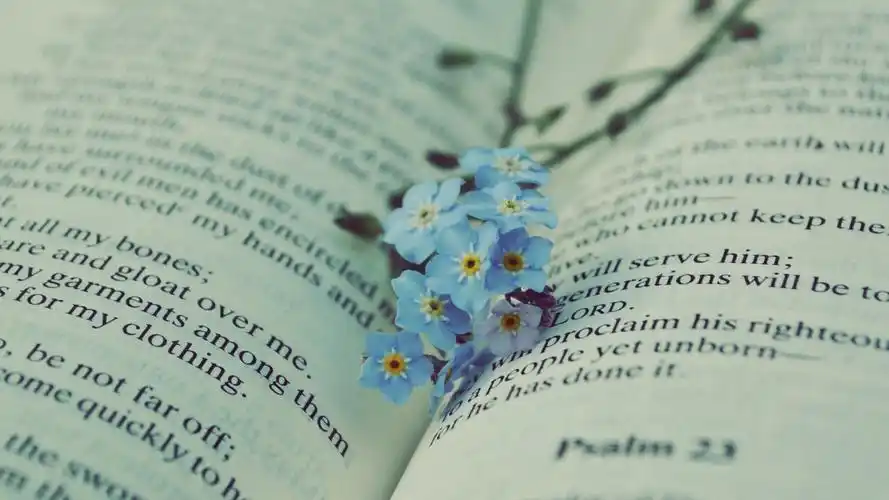 清新淡雅书本文艺风格桌面壁纸下载 第三辑