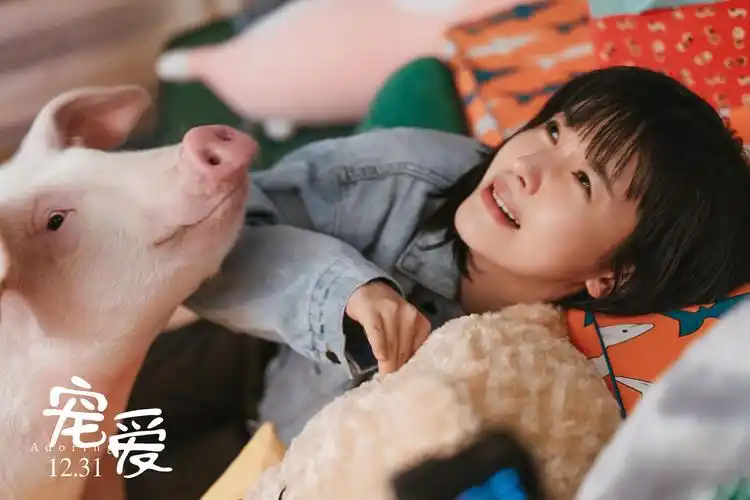 2019年喜剧片《宠爱》最新剧照