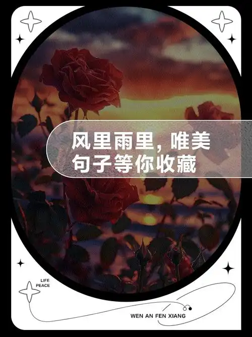 风里雨里,唯美句子等你收藏