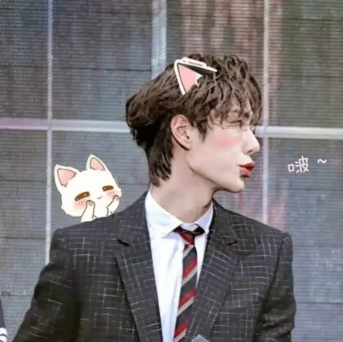 姐妹们不要介意哈～)#肖战王一博  #博君一肖  #连琑反应99  #博君