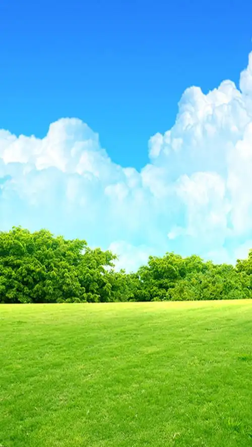 绿色草坪素材背景