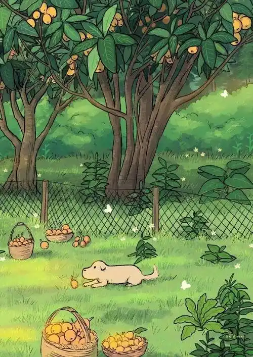 春日绿色系朋友圈背景图,太治愈啦!_wechat_花儿_氛围