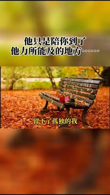 当陪你的那个人要下车时,即使不舍也要心存感激,笑着挥手道别-全民小