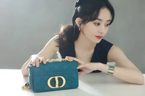 赵丽颖20210309dior活动