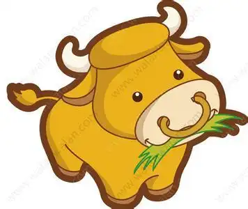 你是职场中的老黄牛吗