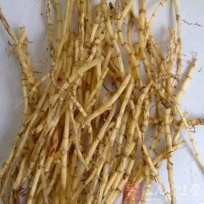 白茅根的作用与功效 白茅根有哪些作用