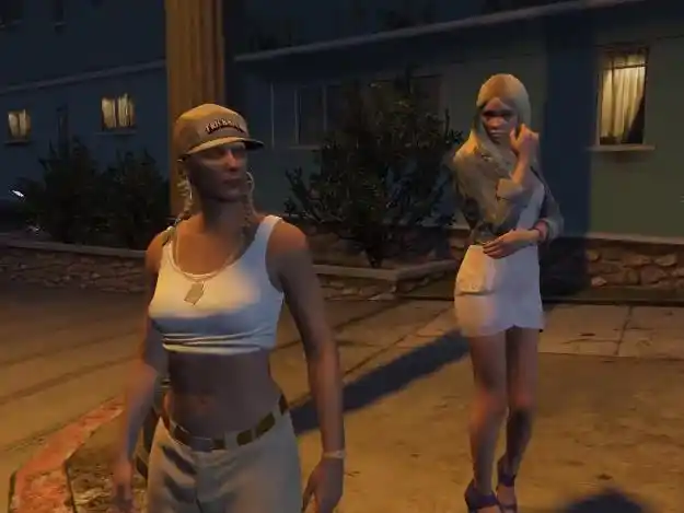 gta5晚上站路边的小姐姐你见过吗玩家们的心理抚慰师