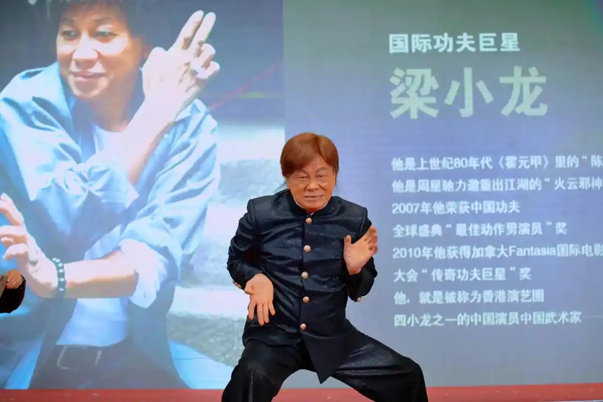 梁小龙归来仍是陈真.