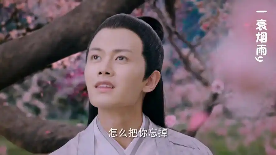 天乩任嘉伦混剪 风光霁月