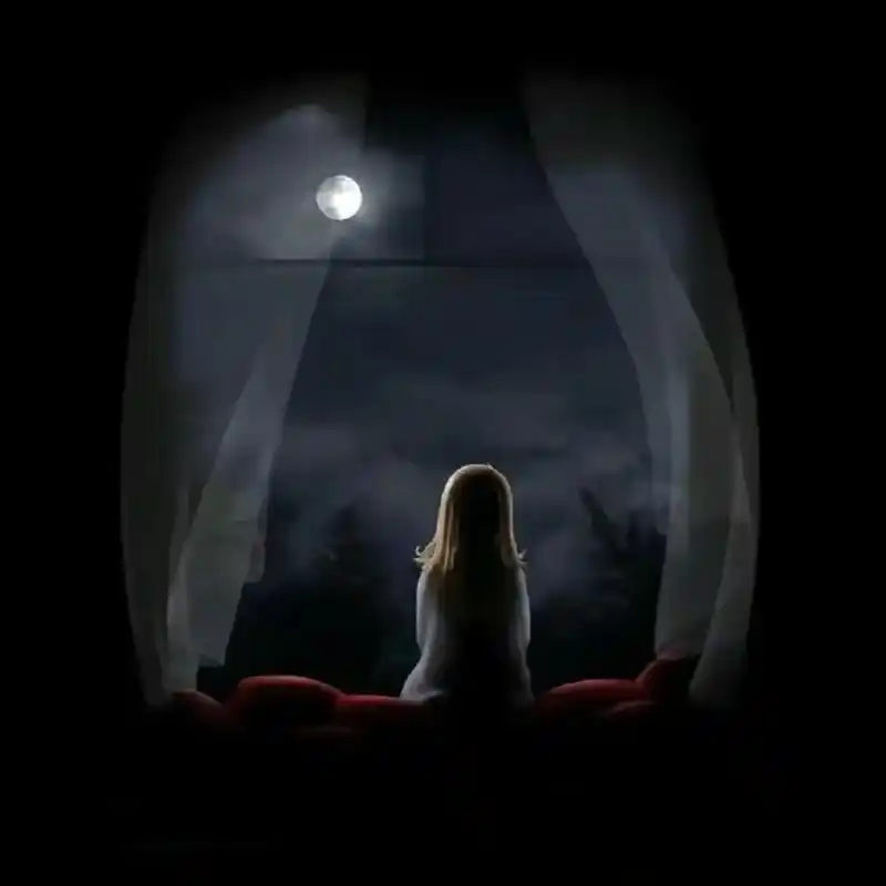 图1就是我的状态和心情 最怕过夜晚9515空气突然安静,每个凌 - 抖