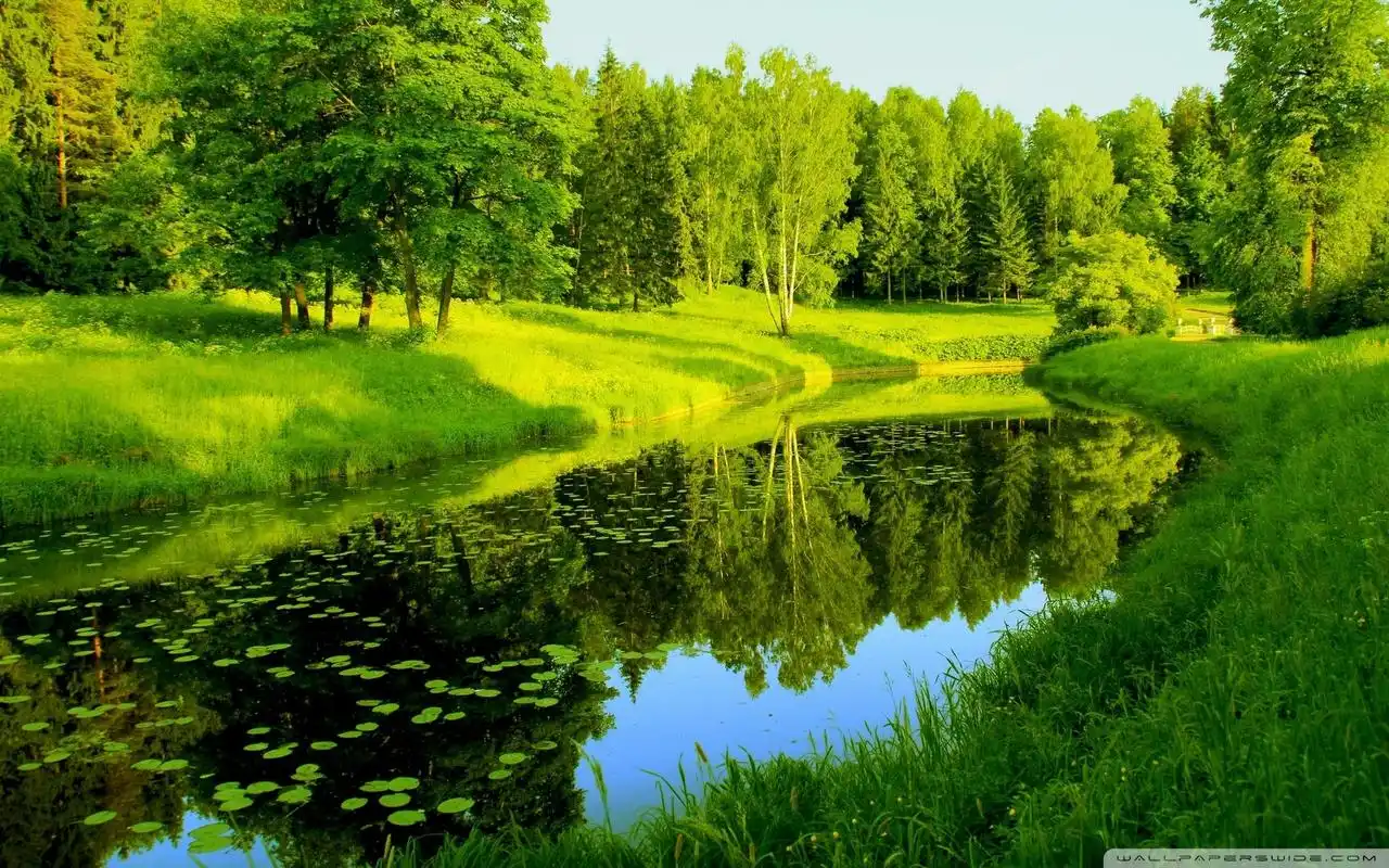 首页 桌面壁纸 风景壁纸 大自然清新美景桌面壁纸1920_1200手机