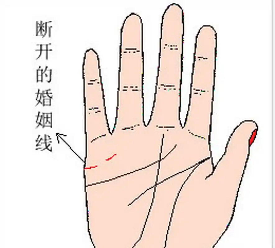 手掌婚姻线中间断裂.手掌婚姻线中间断开好吗?