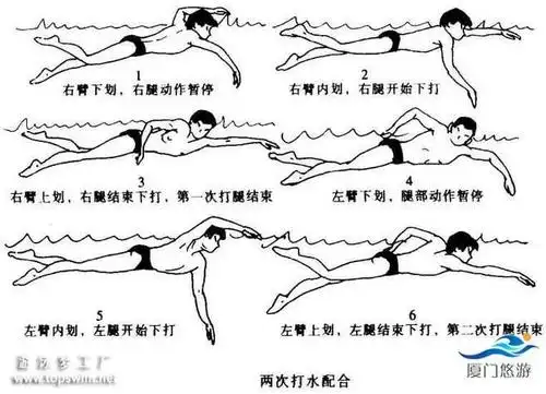 自由泳矢量图的搜索结果_360图片搜索