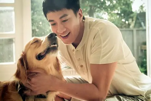 桌面壁纸 明星图片 > 正文  本文 只要一分钟剧照_何润东张钧甯携手