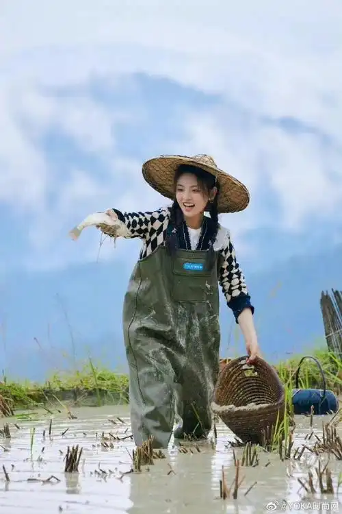 星尚人##杨超越助农##y星闻