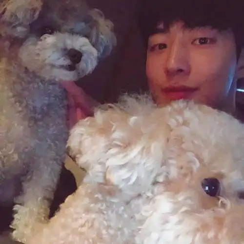 [南柱赫][分享]171114 可爱的"一家三口"南柱赫终于上线发自拍了!