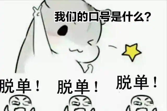 上海,单身男女好幸福,想"脱单"这个城市值得走一趟