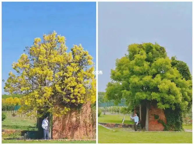 两年前vs两年后是一样的衬衣西装裤也仍然是一样的马嘉祺#tnt时代少年