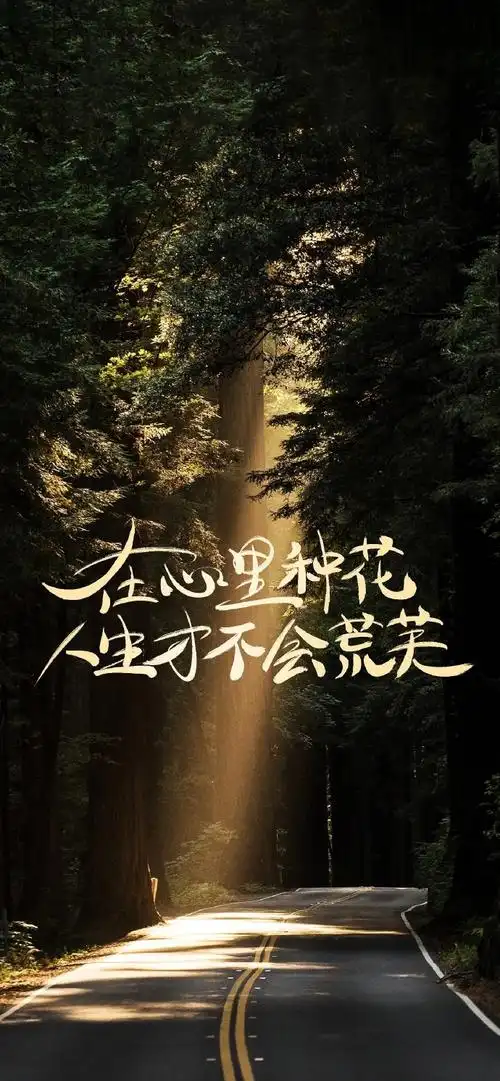 壁纸##手机壁纸##高清壁纸#当文字遇上风景,当励志碰撞那一份宁静