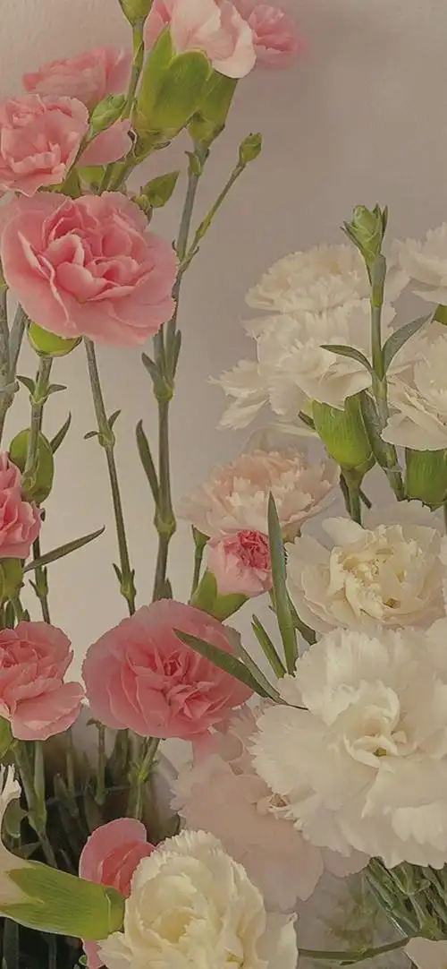 ins风壁纸合集我太爱我的桌面了