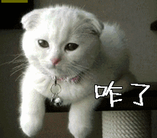 咋了疑问gif动图_动态图_表情包下载_soogif