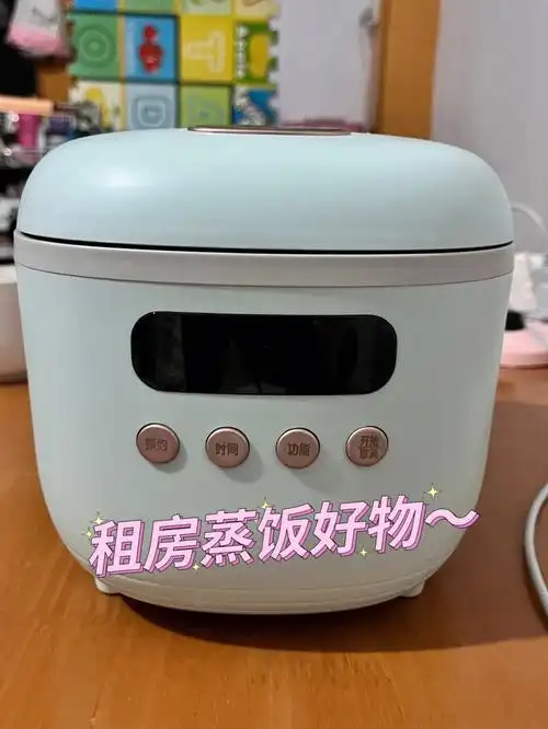 租房蒸饭好物小容量电饭煲