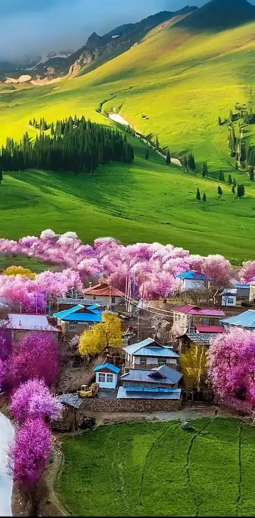 春季旅游景点,春游旅游景点(春天里国内最美的20个人间仙境)