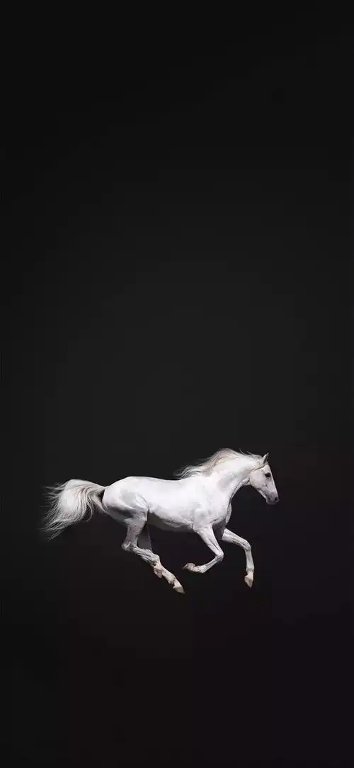 壁纸 锁屏 背景图 (来自:井二公众号)