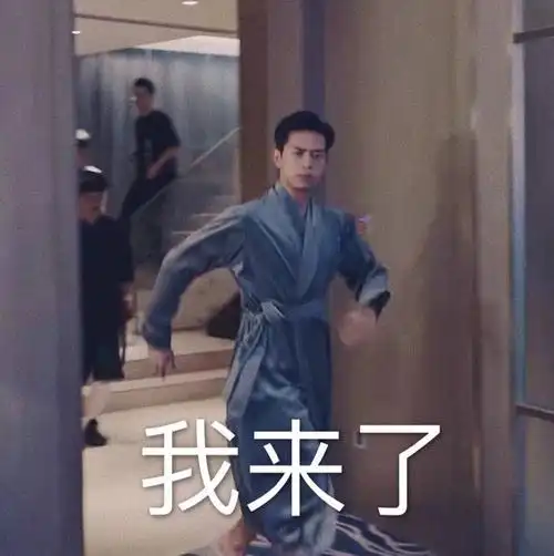 我来了(李现表情包)