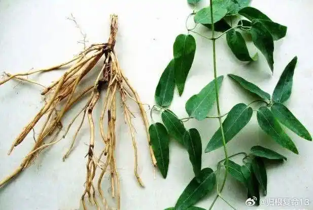 论道岐黄##国医的精诚力量##健康养生##中医养生