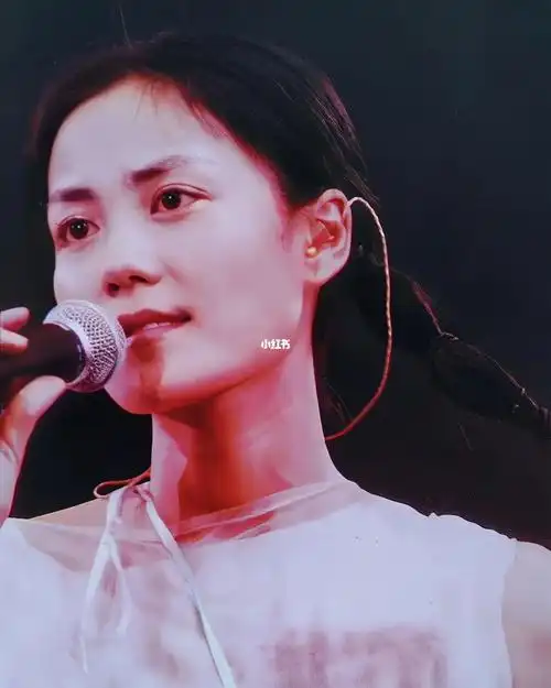 王菲9899唱游大世界王菲香港演唱会