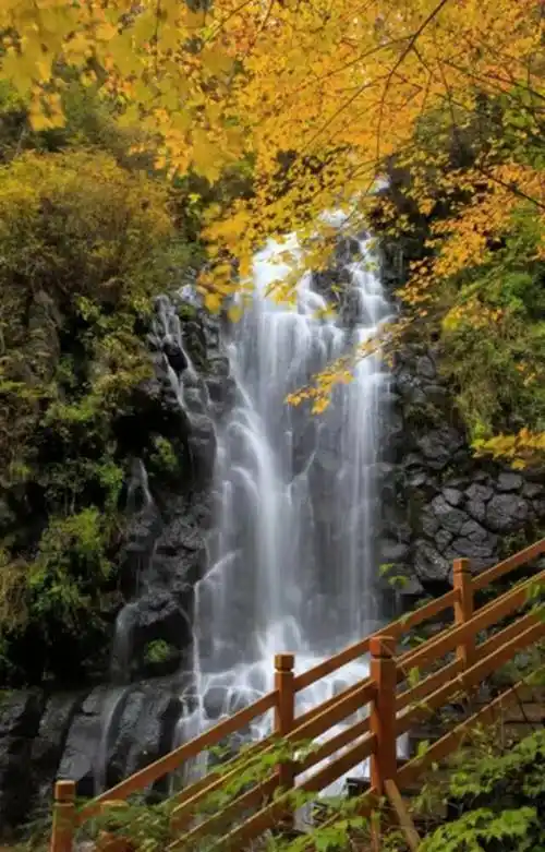 吉林长白山世界地质公园获批列入世界地质公园网络名录-国际在线